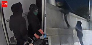 Busted! Luxury handbag thieves caught mid-heist in California; heavily armed cops swoop in — watch – The Times of India