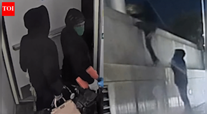 Busted! Luxury handbag thieves caught mid-heist in California; heavily armed cops swoop in — watch – The Times of India