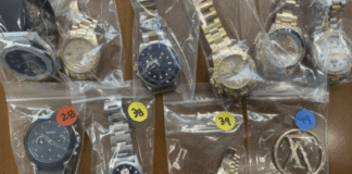 2 arrested, 6 sought in international theft ring that stole watches and jewelry