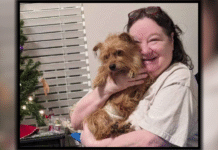 79-year-old woman watches in horror as terrier mix she’s walking is mauled to death by pit bull