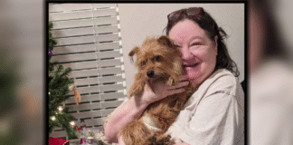 79-year-old woman watches in horror as terrier mix she’s walking is mauled to death by pit bull