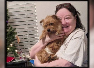 79-year-old woman watches in horror as terrier mix she’s walking is mauled to death by pit bull