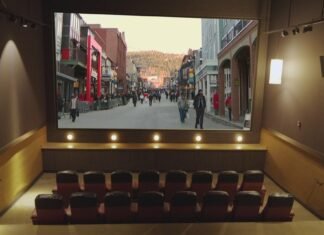 This Denver man watches more than 500 movies every year for work