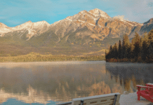 This Is Alberta Before It Was a Postcard