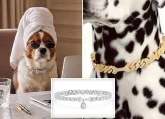 Exclusive | Latest luxury fashion trend is million dollar jewelry for your dog