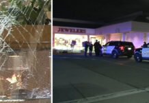6 suspects rob Petaluma jewelry store as employees held at gunpoint