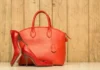 MENA’s Luggage Market Poised for Modest Growth With 1.4% CAGR Through 2035