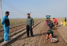 From automated farm tractors to exam paper grading, AI boosts efficiency for some in India