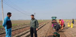 From automated farm tractors to exam paper grading, AI boosts efficiency for some in India