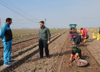 From automated farm tractors to exam paper grading, AI boosts efficiency for some in India