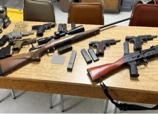 Raid nets 3,395 pounds of cannabis, guns, $20,000, stolen vehicles, jewelry