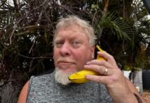 Free Bananas: Artificial Intelligence and Genuine Concerns