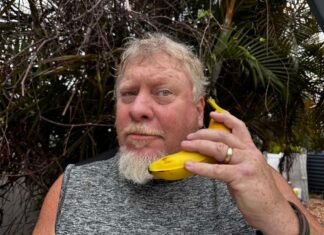 Free Bananas: Artificial Intelligence and Genuine Concerns