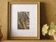 Framebridge Opens First Denver Store with Bespoke Framing
