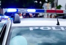 Man injured in car vs. deer collision