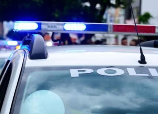 Man injured in car vs. deer collision