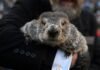 Will Punxsutawney Phil see his shadow? How to watch Groundhog Day 2026 live