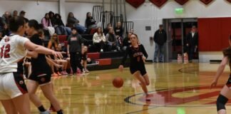 Lexi Mercier watches team play