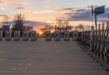 Western Car Makers Lose Big on EVs (subscribe to read) – Energy, Science & Environment