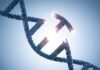 FDA illuminates new approval pathway for bespoke gene editing therapies