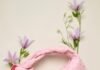 Bottega Veneta’s Valentine’s Collection Is Love at First
Sight
