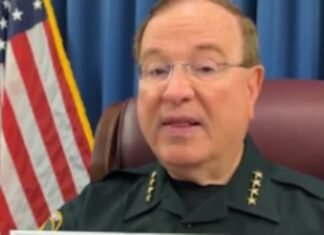 House cleaner accused of stealing jewelry from Polk County home