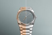 Parmigiani Fleurier Tonda PF Micro-Rotor Agave Blue in
stainless steel and rose gold