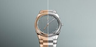 Parmigiani Fleurier Tonda PF Micro-Rotor Agave Blue in
stainless steel and rose gold