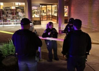 Police: Bystander rammed car into Petaluma jewelry store to block armed robbers