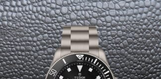 This Tudor ‘T-Rex’ Diver Mimics Rolex’s Most Surprising Watches