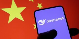 Chinese AI models festoon Spring Festival a year after DeepSeek shock