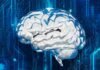 AI accurately reads brain MRIs in seconds