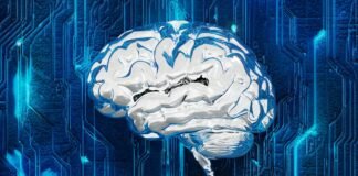 AI accurately reads brain MRIs in seconds