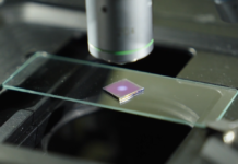 Nanoparticles and artificial intelligence can help researchers detect pollutants in water, soil and blood