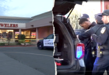 Good Samaritan hijacks crooks’ getaway car and rams it into jewelry store during smash-and-grab: police