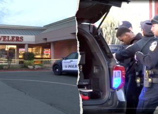 Good Samaritan hijacks crooks’ getaway car and rams it into jewelry store during smash-and-grab: police