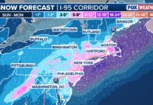 Winter storm updates: How much is it going to snow in DC, Virginia, Maryland?