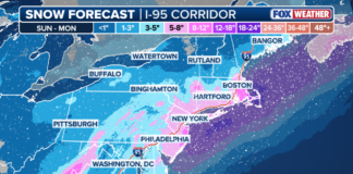 Winter storm updates: How much is it going to snow in DC, Virginia, Maryland?