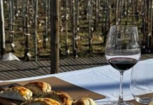 2026 Wine Trends:Bespoke Bistro Reds