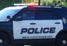 ‘Cowardly:’ Large man manhandles 90-year-old woman, grabs her jewelry