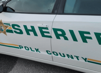 Florida house cleaner accused of stealing $12K worth of jewelry from elderly woman