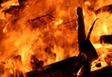 Multiple Car Makers Issue Recalls For Safety: Recall Roundup