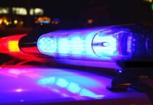 2 arrested, 4 wanted after jewelry store robbery in Petaluma