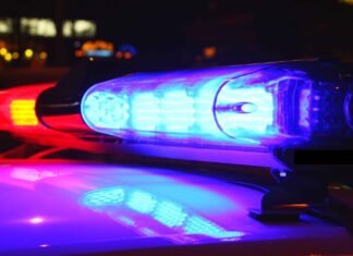 2 arrested, 4 wanted after jewelry store robbery in Petaluma