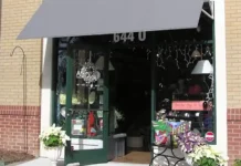 Special Forever: Zinnia Gifts and Jewelry