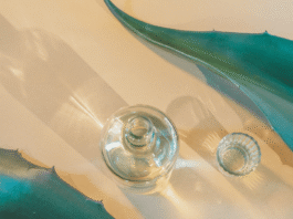 Not All Agave Spirits Are Tequila or Mezcal