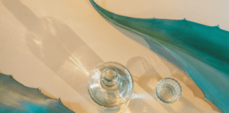 Not All Agave Spirits Are Tequila or Mezcal