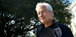Dimon warns on AI job losses, calls for government-business incentives