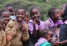 The Final Cut: Diamond and Gem Facts