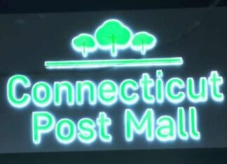 Man sentenced to 3.5 years for role in nationwide jewelry ring that hit Milford mall